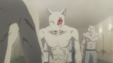 Watch BEASTARS | Netflix Official Site