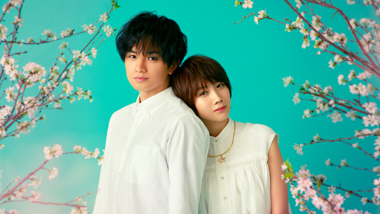 Love Like The Falling Petals Honoka Matsumoto Watch Love Like the Falling Petals | Netflix Official Site